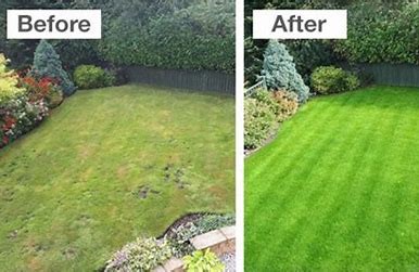 Image result for before and after pics of top dressing a lawn